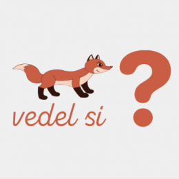 Sledujte nás aj na sociálnych sieťach
