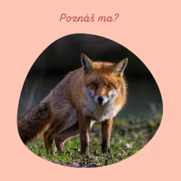 Sledujte nás aj na sociálnych sieťach
